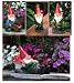 Exhart Gnome - Assorted Styles