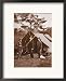 Abe Lincoln, The Mediator Framed Art Poster Print, 17x21