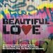 Beautiful Love:The Indie Love Songs Collection