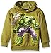 Marvel Boys' The Incredible Hulk Wrap Arm Hoodie