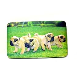Pug Puppies Flat Framed Checkbook Wallet with Beads