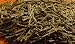 Cedar Leaf Bulk - 1 Ounce Cut and Sifted - Native Scents