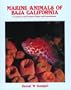 Marine Animals of Baja California: A Guide to the Common Fishes and Invertebrates