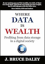 Where Data Is Wealth: Profiting from Data Storage in a Digital Society