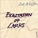 Dot Allison-Exaltation of Larks