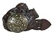Wide Leather Braided Disc Buckle Belt
