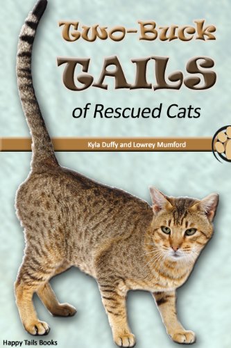 cat adoption