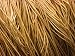 Close-Up on Pieces of Stringy Brown Rope Photographic Poster Print, 16x12