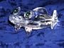 FROG and TOAD INSPIRED CRYSTAL GLASS ART MINIATURE KEEPSAKE COLLECTOR GIFT FIGURINE