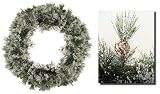 24" Flocked Taos Pine Cone Christmas Wreath