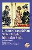 Steter Tropfen h�hlt den Stein