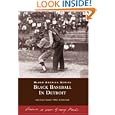 Black Baseball In Detroit (black America: Michigan)