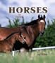 Horses 2005 Weekly Engagement Calendar