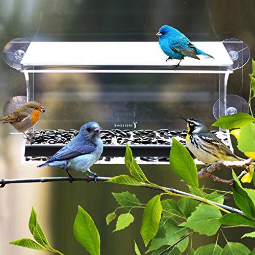 Window Bird Feeder By Ipsilone Large Acrylic Window Feeder