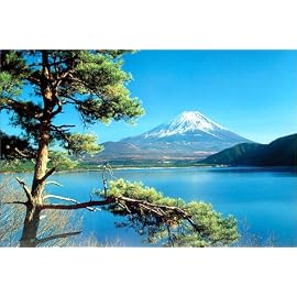 富士山 / 松 [ポスター]