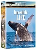 Nature: Incredible Life (6pc)