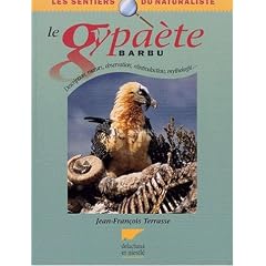 Le gypaete