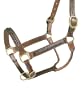 Raised Hand Braided Leather Halter