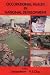 Book Occupational Health in National Development