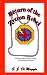 Book Return of the Zytron Rebel