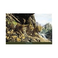 Antique Wild Leopard Animal Safari Framed Art Poster Print