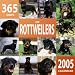 365 Days of Rottweilers 2005 Wall Calendar