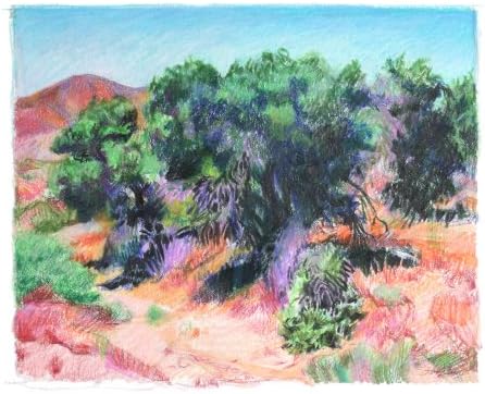 California Scrubland, Giclee Print of Colored Pencil Drawing, Western Landscape, 10 X 13 Inches