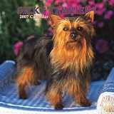 Silky Terriers 2007 Calendar