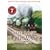 The Lost Railways [DVD]