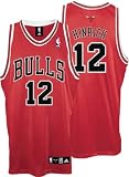 Kirk Hinrich Red adidas NBA Authentic Chicago Bulls Jersey