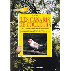 Les canaris de couleurs