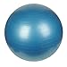 Sunny Health & Fitness Anti-Burst Gym Ball, 75 CM