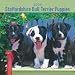 Staffordshire Bull Terrier Puppies 2009 7X7 Mini Wall Calendar