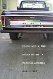 Out in the Country: Youth, Media, and Queer Visibility in Rural America (Intersections: Transdisciplinary Perspectives on Genders and Sexualities)