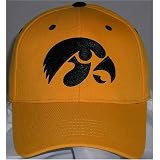 Iowa Hawkeyes One-Fit NCAA Wool Flex Cap (Team Color)