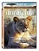Nature: Cheetahs and Lions