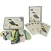 Cavallini Glitter Birds Cards in Box with envelopes and 36 die cut tags