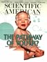 Scientific American