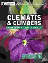 Clematis and Climbers (Collins Practical Gardener)