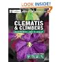 Clematis and Climbers (Collins Practical Gardener)