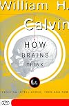 How Brains Think: Evolving Intelligence, Then and Now (Science Masters Series)