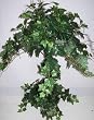 30" English Ivy Topiary Plant