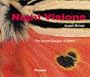 Night Visions: The Secret Designs of Moths