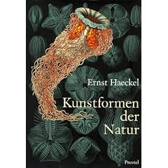 Ernst Haeckel - Kunstformen der Natur