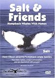 The Whale Video Company