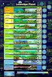Lebendiger Planet