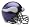 Minnesota Vikings