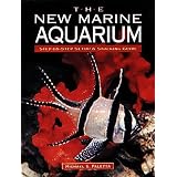 The New Marine Aquarium Step By Step Setup & Stocking Guide