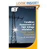 Condition Assessment of High Voltage Insulation in Power System Equipment (Iet Power and Energy)