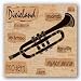 Dixieland Sound by Anji Allen 9"x9" Art Print Poster